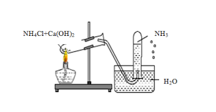 Amoniac Có Làm Đổi Màu Quỳ Tím Không