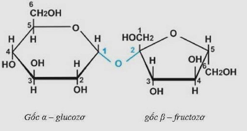  Glucozo H2