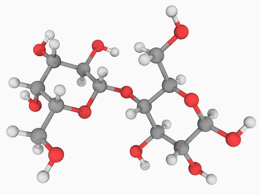 Khi Nào Thì Protein Ức Chế Làm Ngưng