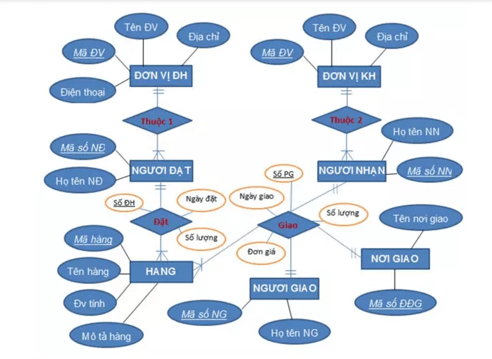 Lược Đồ Cơ Sở Dữ Liệu Quan Hệ