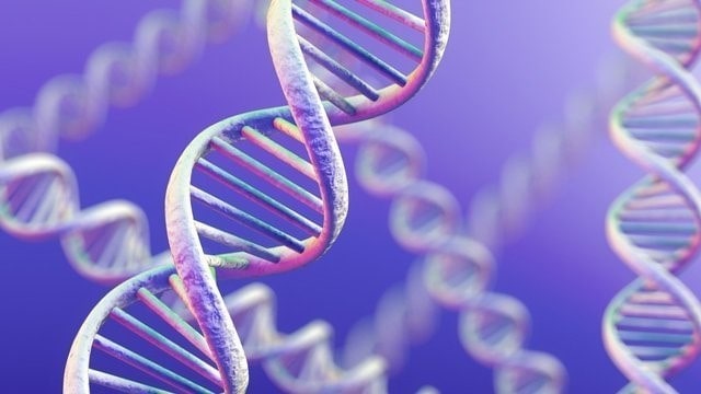[TÌM HIỂU] Trình Tự Nucleotit Đặc Biệt Trong ADN Của NST